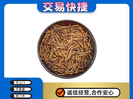 天津市武清回收散虫草